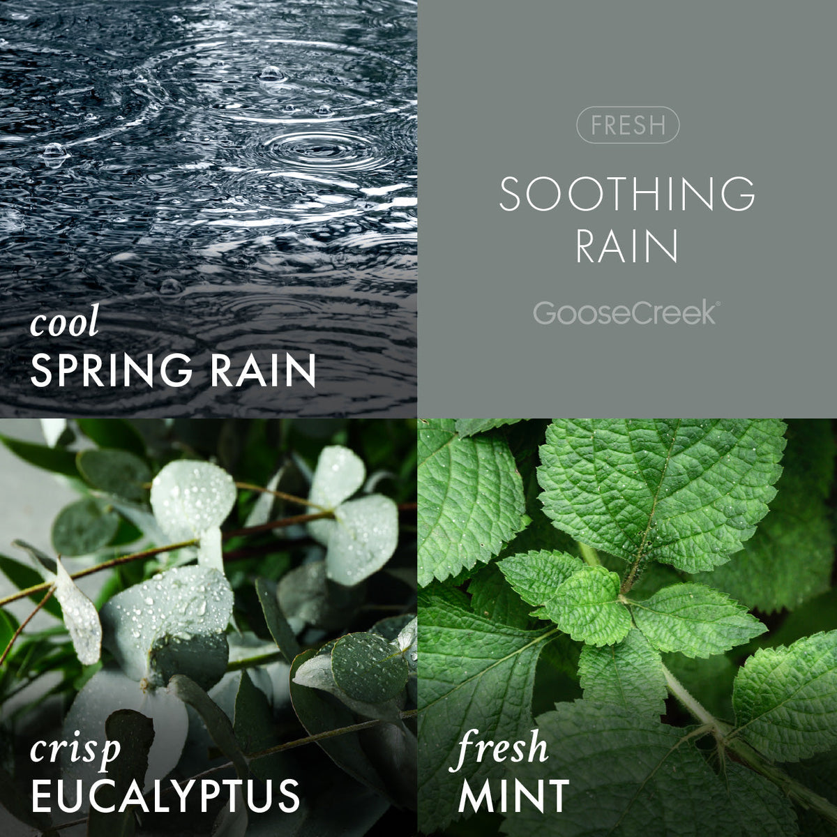 Soothing Rain Wax Melt
